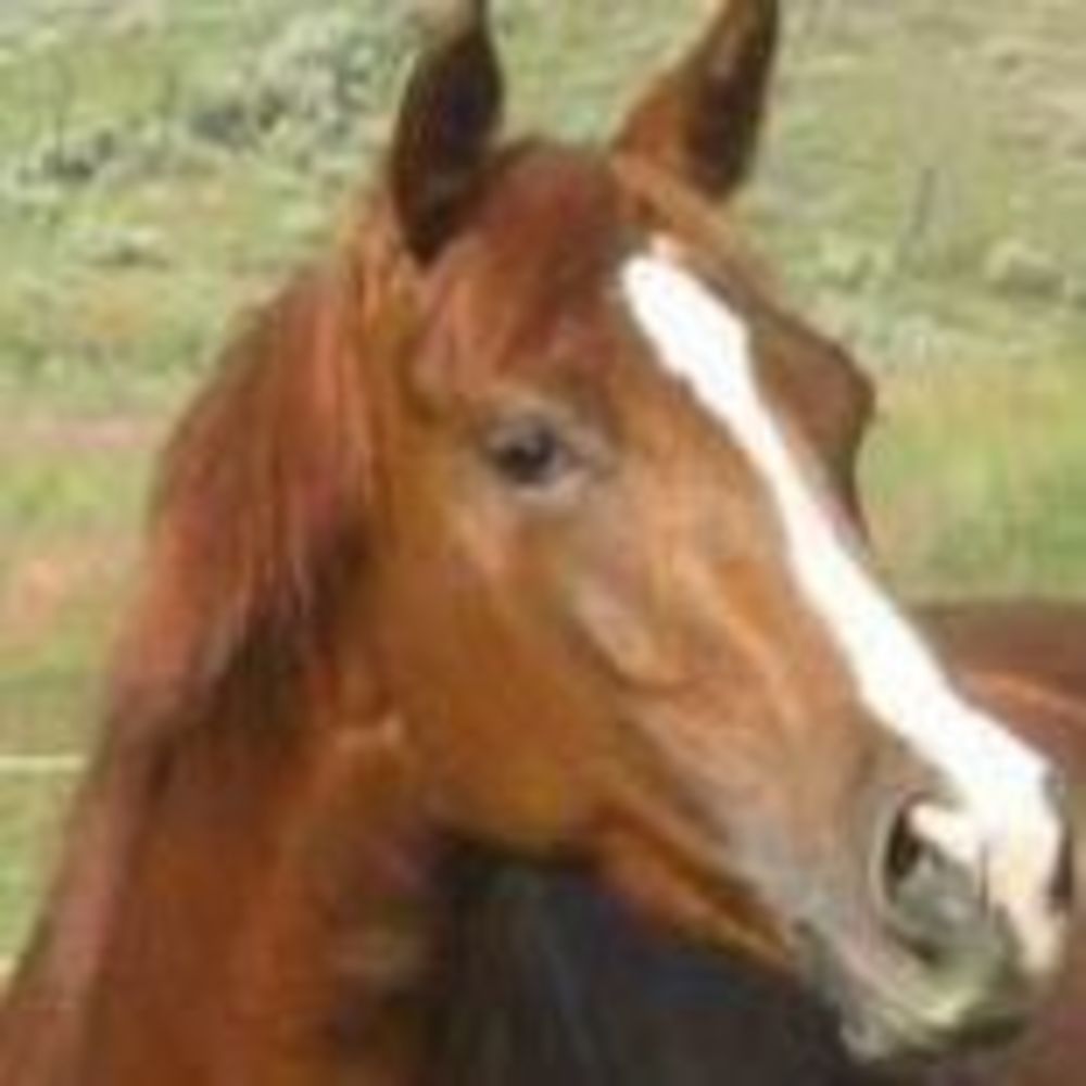 Meet your Posher, Teri